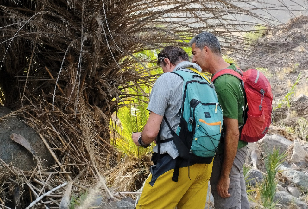 Seguimiento, personas en campo