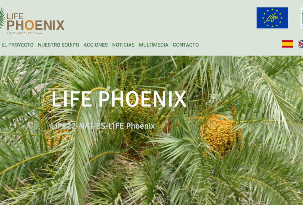 Captura web life phoenix