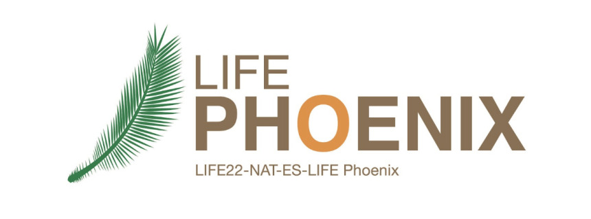 LIFE Phoenix