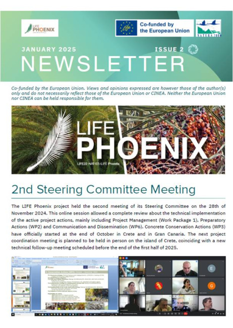 newsletter2