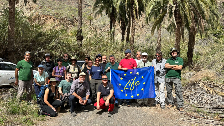 First monitoring meeting