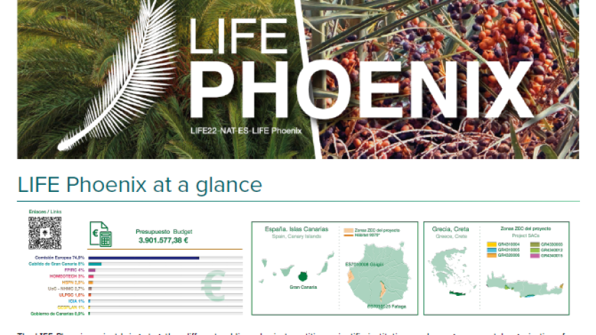 Newsletter June 2024